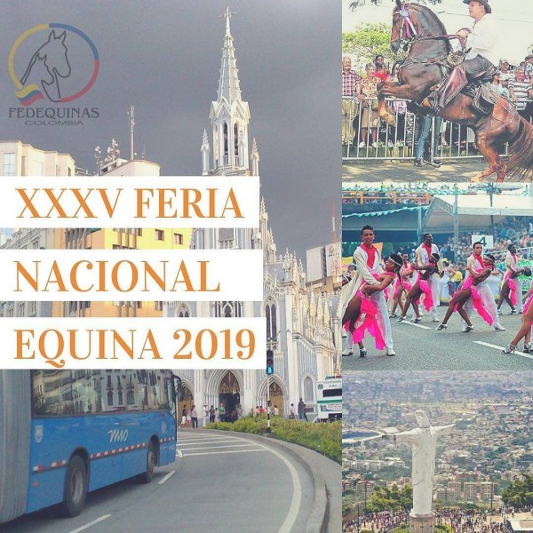 https://suscaballos.com/Cali Será La Sede De la XXXV Feria Nacional Equina 2019