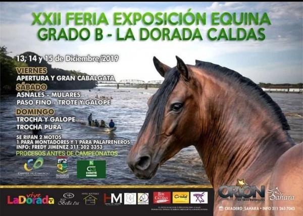 https://suscaballos.com/TRANSMISIÓN XXII Exposición Equina Grado B La Dorada- Caldas 14 y 15 Diciembre