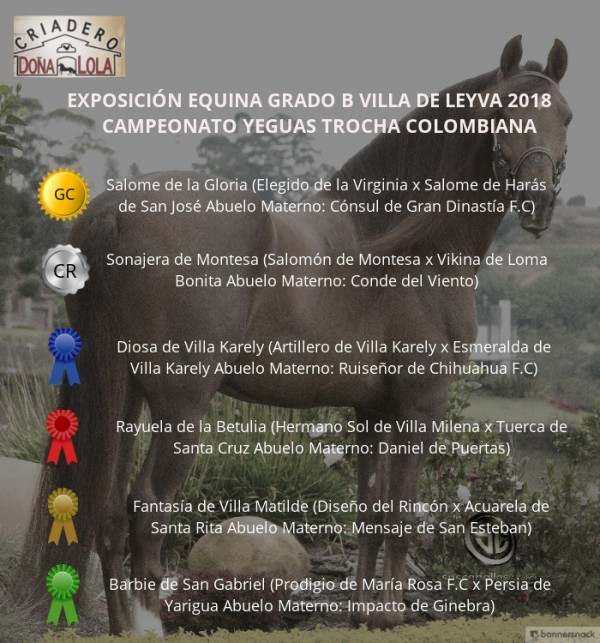 https://suscaballos.com/VÍDEO: Salome Campeona, Sonajera Reservada, Trocha Colombiana, Villa de Leyva