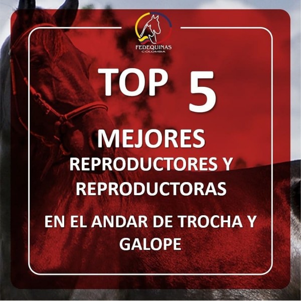 https://suscaballos.com/Top 5 mejores reproductores y reproductoras en el andar de trocha y galope