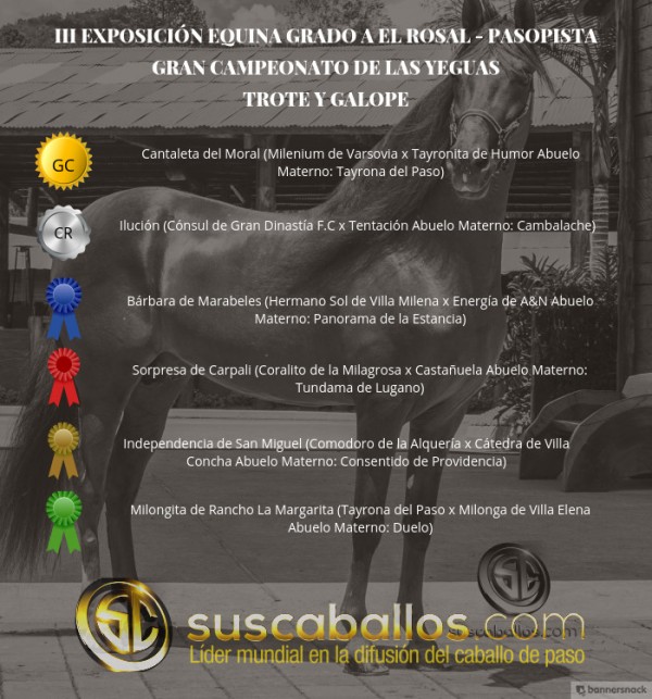 https://suscaballos.com/VÍDEO: Cantaleta Campeona, Ilución Reservada, Trote Y Galope, III Exposabana