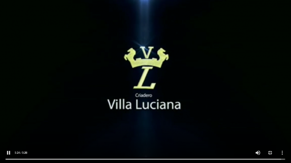 https://suscaballos.com/Criadero Villa Luciana