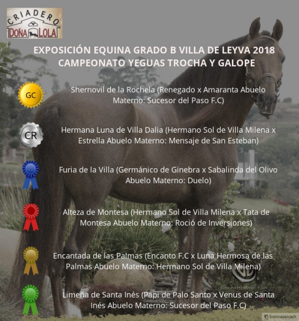 https://suscaballos.com/VÍDEO: Shernovil Campeona, Hermana Reservada, Trocha Y Galope, Villa De Leyva