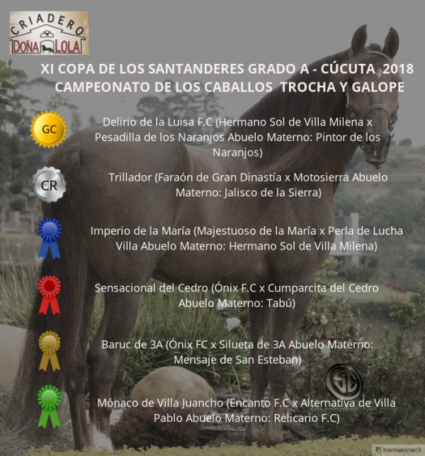 https://suscaballos.com/VÍDEO: Delirio Campeón, Trillador Reservado, Trocha y Galope, Cúcuta 2018