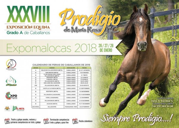 https://suscaballos.com/RESULTADOS: XXXVIII Exposición Equina Grado A De Caballanos 2018 -TROCHA COLOMBIANA