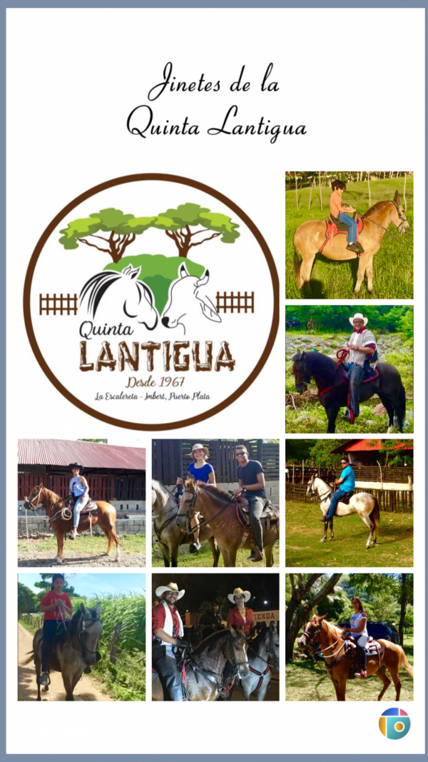 https://suscaballos.com/Quinta Lantigua, en República Dominicana...