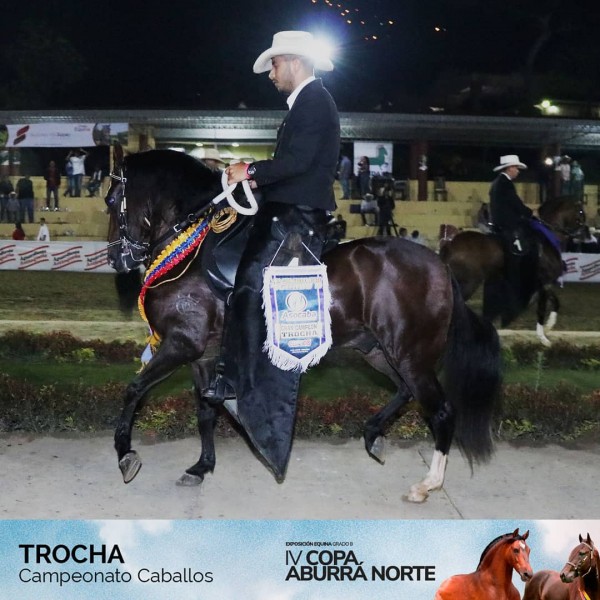https://suscaballos.com/RESULTADOS IV Copa Aburrá Norte Grado B, Asocaba 2018 - TROCHA COLOMBIANA