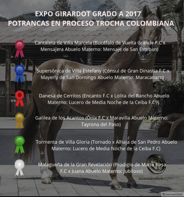 https://suscaballos.com/VÍDEO:Cantaleta Mejor, Supersónica 1P,Potrancas de la Trocha, Expo Girardot 2017