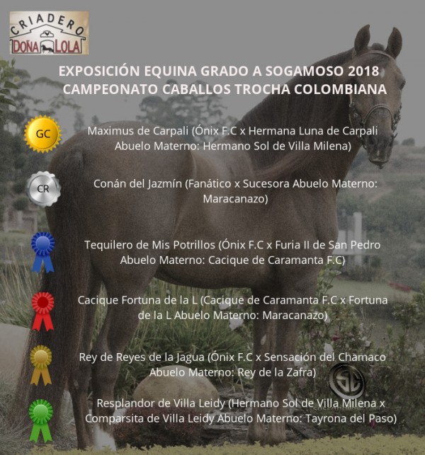 https://suscaballos.com/RESULTADOS Exposición Equina Grado A Sogamoso 2018 - TROCHA COLOMBIANA