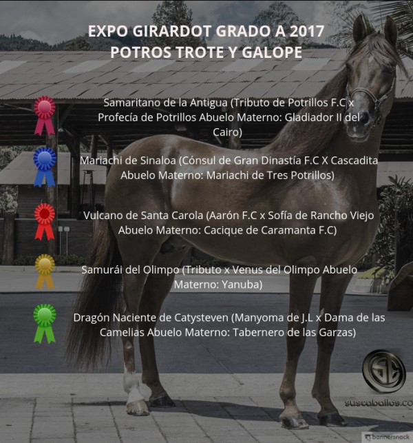 https://suscaballos.com/VÍDEO: Samaritano Mejor, Mariachi 1P, Potros Trote Y Galope, Expo Girardot 2017