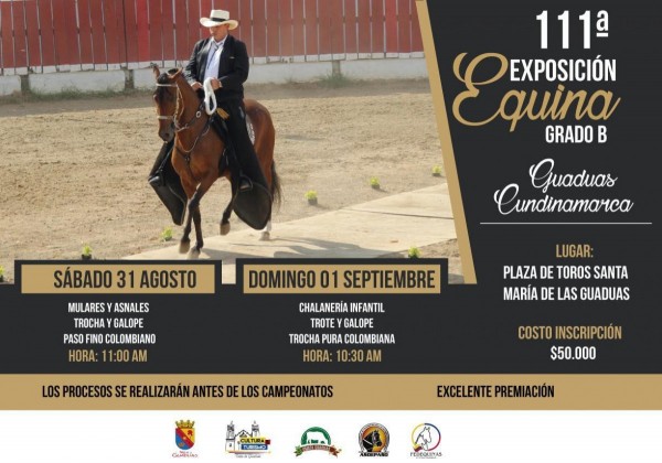 https://suscaballos.com/111a. Exposición Equina Grado B del municipio de GUADUAS, 31 de Agost, 1er Sept