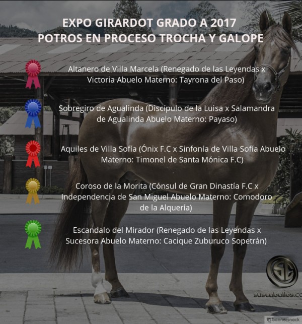 https://suscaballos.com/VÍDEO: Altanero Mejor, Sobregiro 1P, Potros Trocha Y Galope, Expo Girardot 2017