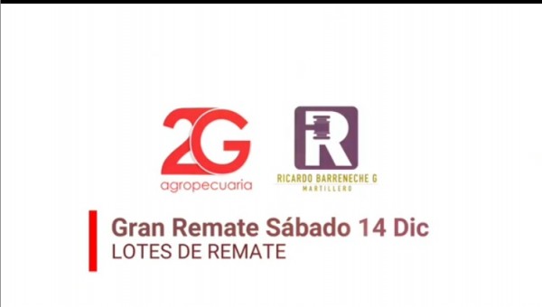 https://suscaballos.com/TRANSMISIÓN Exposición de ganado Simmental, Remate y 1er Ordeño Robótico, 14 Dic