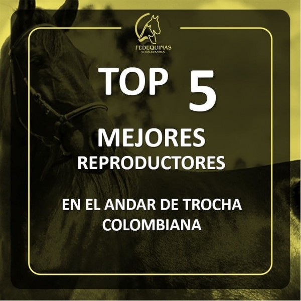 https://suscaballos.com/Top 5 mejores reproductores y reproductoras en el andar de Trocha Colombiana