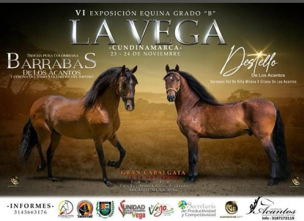 https://suscaballos.com/TRANSMISIÓN VI Exposición Equina Grado B La Vega Cundinamarca, 23 y 24 de Nov