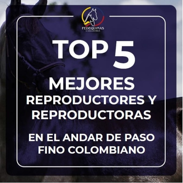 https://suscaballos.com/Top 5 Mejores Reproductores y Reproductoras Paso Fino Colombiano