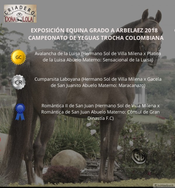 https://suscaballos.com/VÍDEO: Avalancha Campeona, Cumparsita Reservada, Trocha Colombiana, Arbeláez