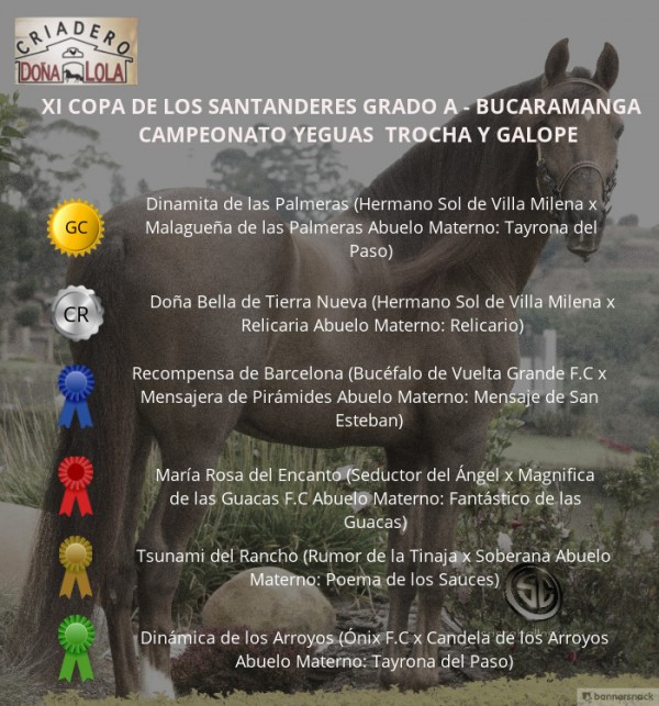 https://suscaballos.com/VÍDEO: Dinamita Campeona, Doña Bella Reservada, Trocha y Galope, Bucaramanga